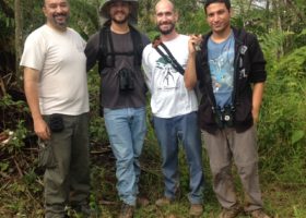 VCE Paper Confirms Scarcity of Bicknell's Thrush on Puerto Rico