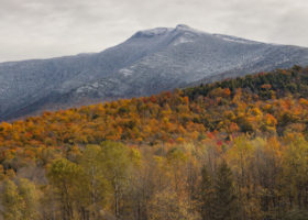 Field Guide to October 2019