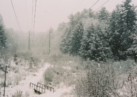 Field Guide to February 2023