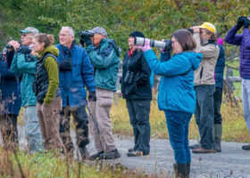 Birders Bolster Big Data Celebrating the 20th Anniversary of Vermont eBird