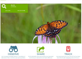 Global Launch of eButterfly