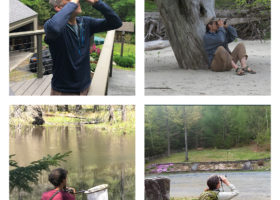 VCE Staff "Bird in Place" for Backyard Bird Quest 2020