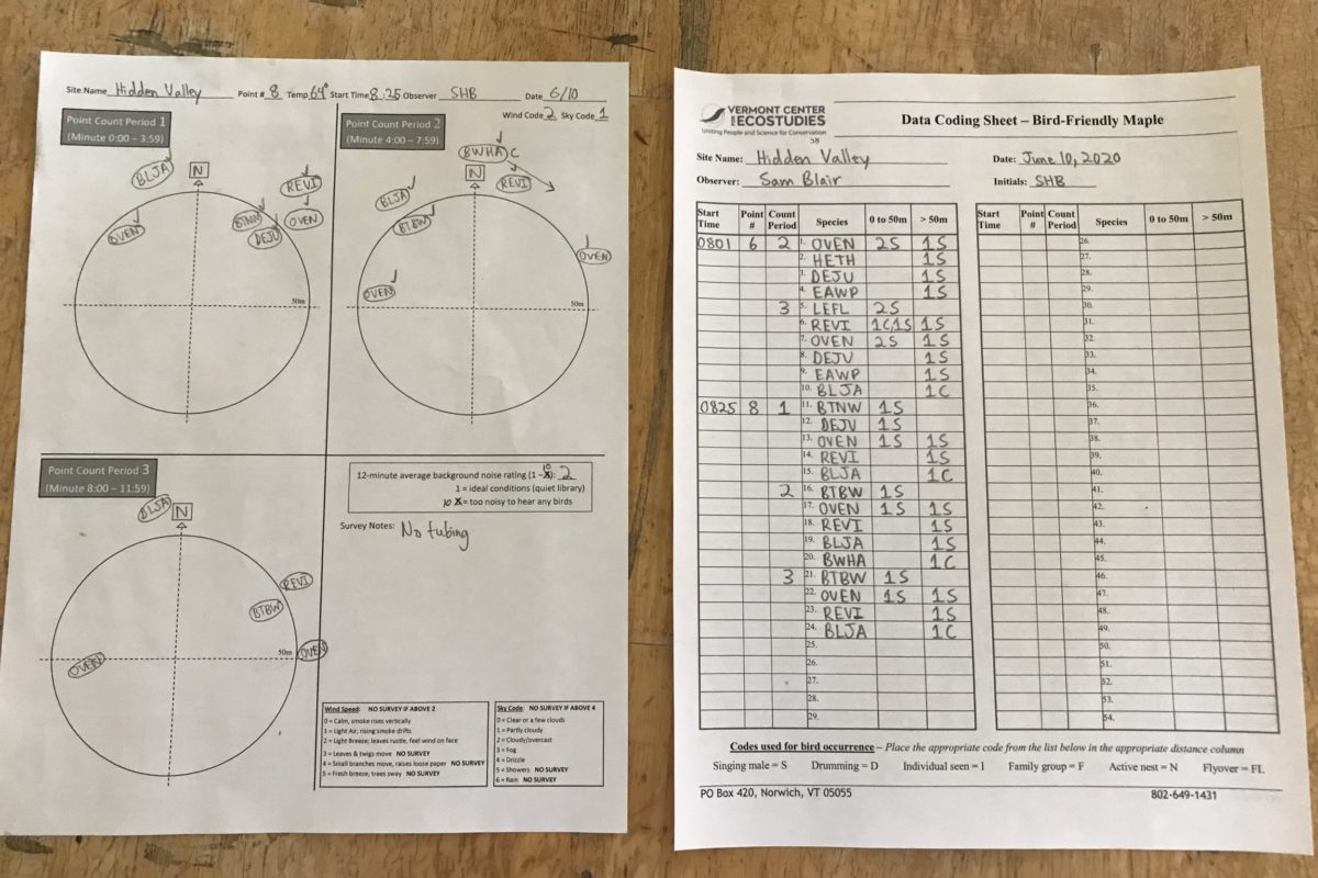 Scientific translation in progress – a BFM study data sheet and corresponding data coding sheet. Sam Blair