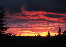 A Mountain Birdwatch and Looning Adventure