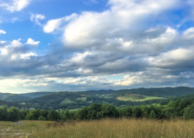 Field Guide to August 2020