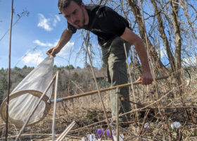 VCE is Abuzz with High-impact Bee Work