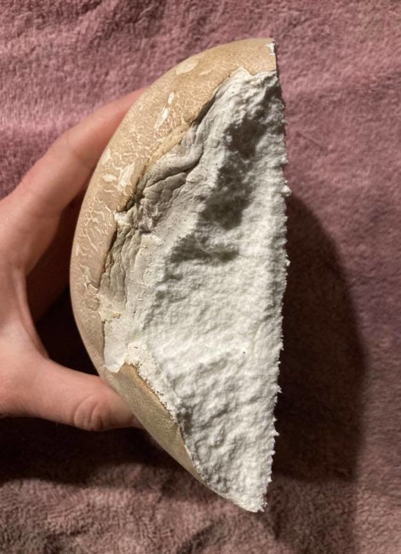 10610, , 123029112_1034273040403524_4355713857184127604_n, , , image/jpeg, https://media.vtecostudies.org/wp-content/uploads/2020/10/08192335/123029112_1034273040403524_4355713857184127604_n.jpg, 750, 1000, Array, Array © Julia Pupko