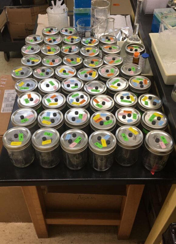 Soil samples from agricultural fields for a laboratory study on nitrous oxide emissions &copy; © Julia Pupko