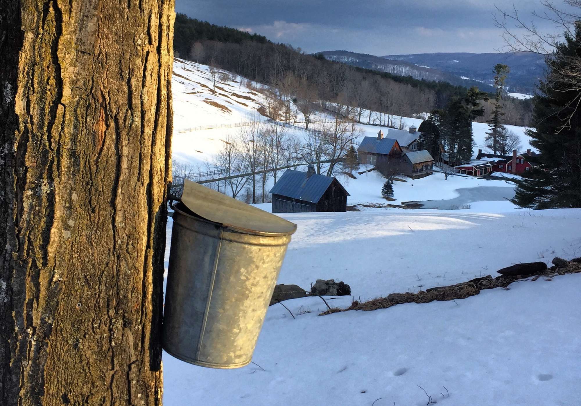 A traditional Vermont sugaring bucket. &copy; K.P. McFarland