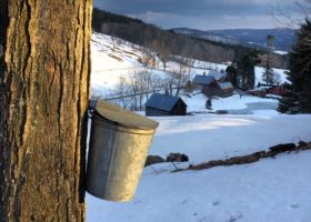 Field Guide to March 2021