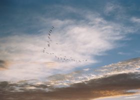 Field Guide to September 2024