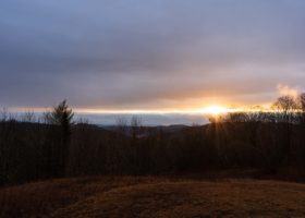 Field Guide to November 2021