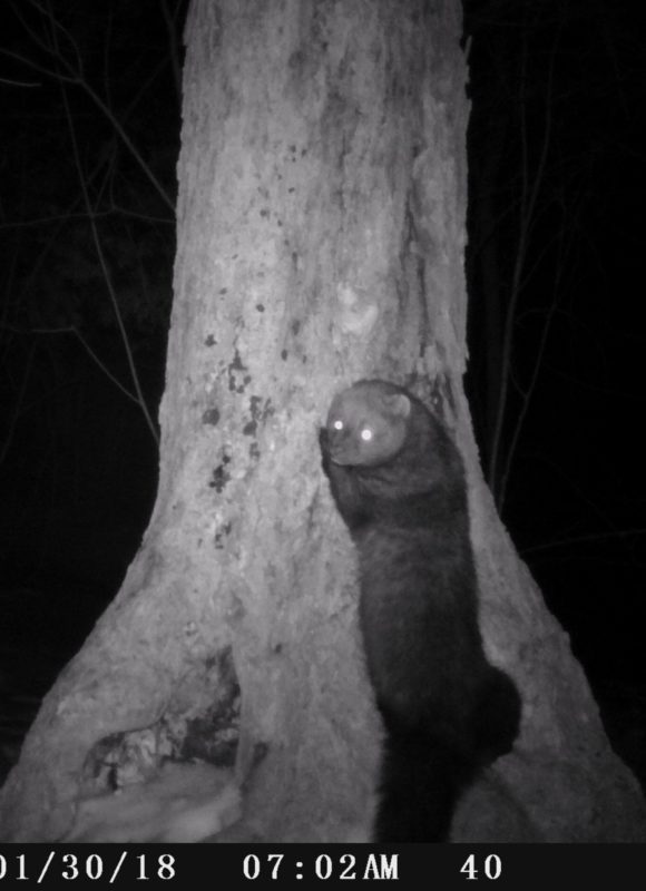 12025, , fish3, D55IR_V076.B00038.069__FG=2876,FT=91934,NIR=0,GM=2,EV=51,PY=27,DY=26,GB=0x80,SG=0x17,EL=1706,AEY=0,AEM=0,AEB=2, , image/jpeg, https://media.vtecostudies.org/wp-content/uploads/2021/11/08184439/fish3.jpg, 1819, 1895, Array, Array © Julia Pupko