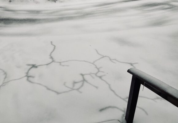 Rusty Crayfish (<i>Faxonius rusticus</i>) - non-native to Vermont &copy; © K.P. McFarland