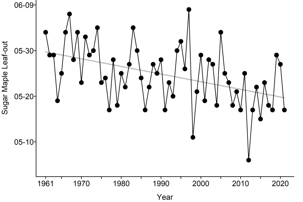 Leaf-out &copy; © Mike Hallworth