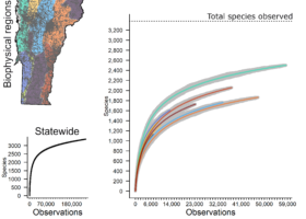 Predicting the Forests of Tomorrow with the Observations of Today
