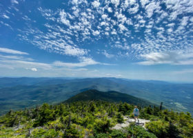 Field Guide to June 2022