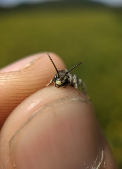 12499, , large (27), , , image/jpeg, https://media.vtecostudies.org/wp-content/uploads/2022/06/08183147/large-27.jpeg, 768, 1024, Array, Array © Spencer Hardy