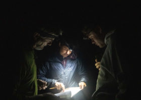 Mansfield Update: A Bird in the Bag is Worth Two in the Net