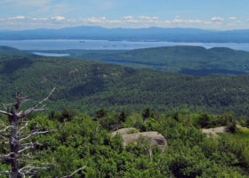 Field Guide to July 2022