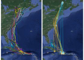Evolution in Spatial Tracking of Bicknell's Thrush