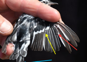 VCE Mansfield Summer Season Wraps Up Quietly