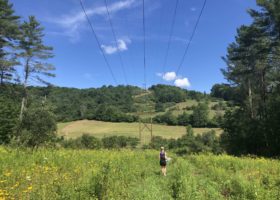 ECO Americorps Members Reflect on Their Time at VCE