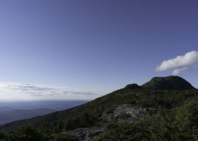 Field Guide to August 2022