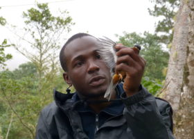 VCE Haitian Colleague Receives Prestigious Conservation Award
