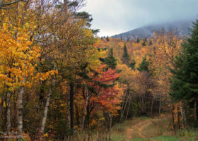 Field Guide to October 2022