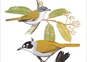 2022 VCE Gift Guide for Nature Lovers