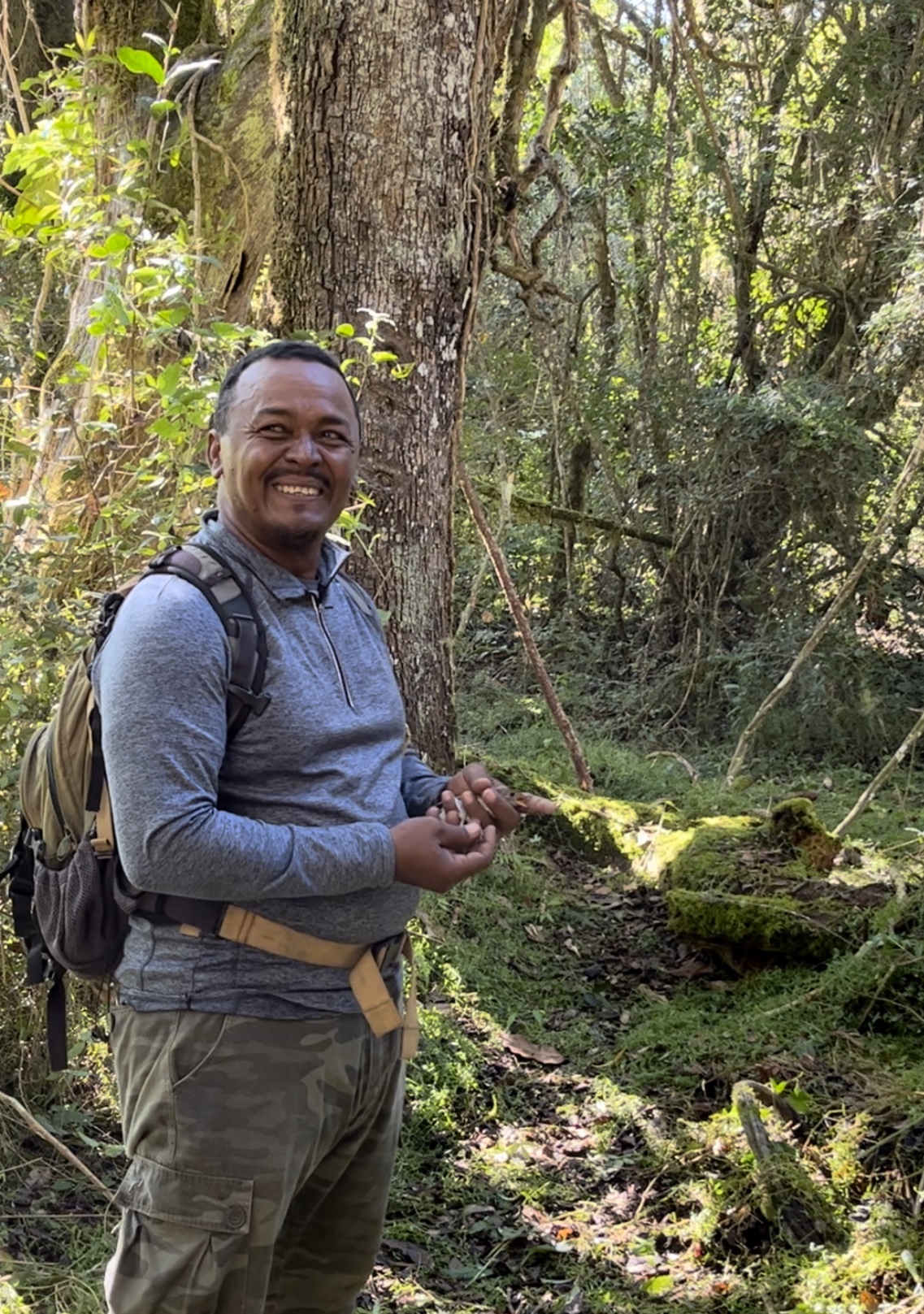 Long-time VCE colleague Estéban Garrido releasing a tagged Bicknell's Thrush
