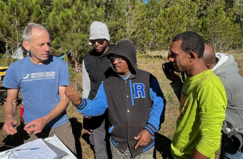 Estéban Garrido handles a newly-tagged Bicknell's Thrush while Chris Rimmer and colleagues look on.