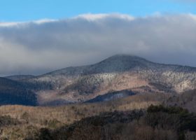 Field Guide to March 2023