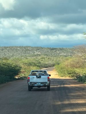 Driving the Alcoa Road to Sierra de Bahoruco
