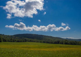 Field Guide to July 2023