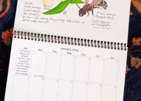 2023 VCE Gift Guide for Nature Lovers