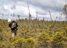 2023 Field Season Project Summaries