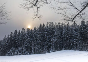 Field Guide to December 2023