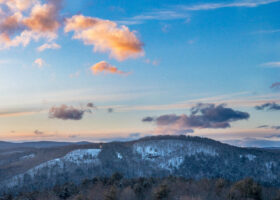 Field Guide to February 2024