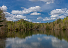 Field Guide to May 2024