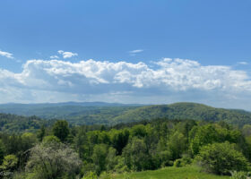 Field Guide to June 2024