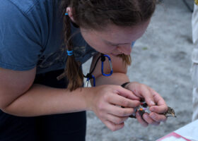 Mount Mansfield 2024 Midseason Report