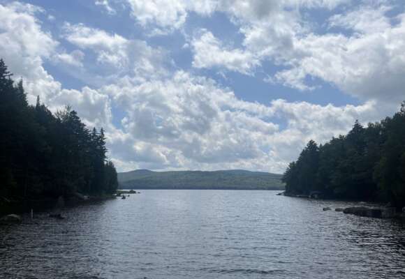 Loon family’s lake 