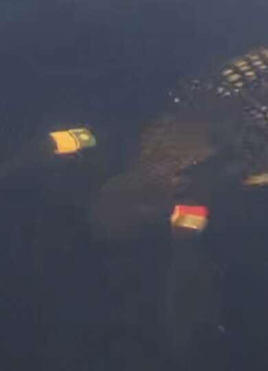 14949, , IMG_2078_390x540_acf_cropped, , , image/jpeg, https://media.vtecostudies.org/wp-content/uploads/2024/09/08171535/IMG_2078_390x540_acf_cropped.jpeg, 390, 540, Array, Array 