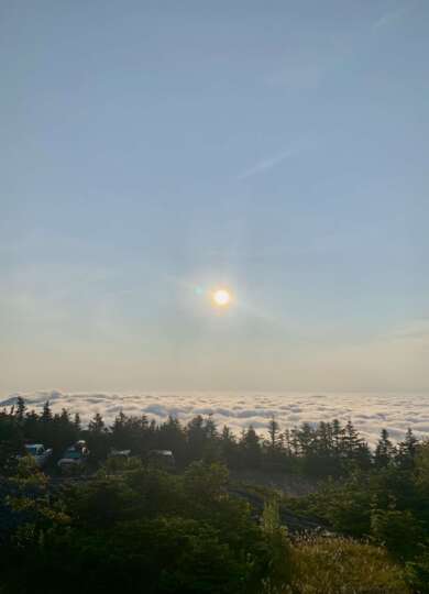 14938, , IMG_1805_390x540_acf_cropped, , , image/jpeg, https://media.vtecostudies.org/wp-content/uploads/2024/09/08171601/IMG_1805_390x540_acf_cropped.jpeg, 390, 540, Array, Array Photo by Gita Yingling