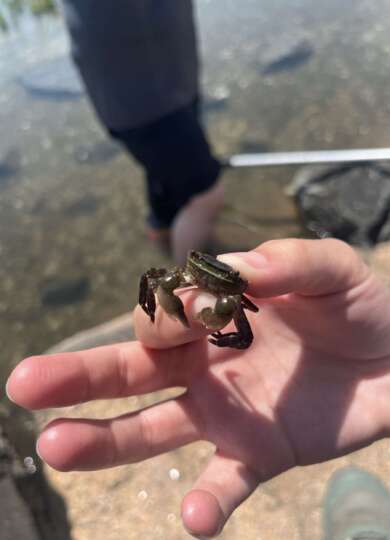 14928, , IMG_9827_390x540_acf_cropped, , , image/jpeg, https://media.vtecostudies.org/wp-content/uploads/2024/09/08171618/IMG_9827_390x540_acf_cropped.jpeg, 390, 540, Array, Array 