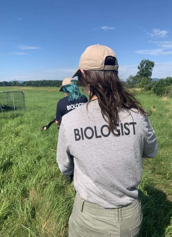 14914, , IMG_0831_580x800_acf_cropped, , , image/jpeg, https://media.vtecostudies.org/wp-content/uploads/2024/09/08171701/IMG_0831_580x800_acf_cropped.jpeg, 580, 800, Array, Array Photo by Gita Yingling