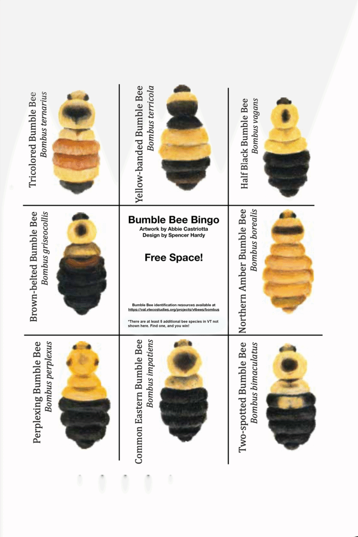  &copy; Artwork by Abbie Castriotta, Design by Spencer Hardy