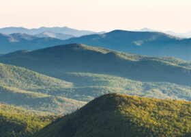 Field Guide to June 2025